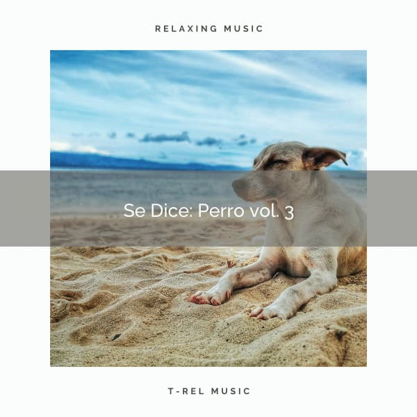 2021 New: Se Dice: Perro vol. 3 - Thiago Mascotas