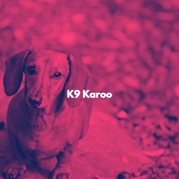K9 Karoo - Smooth Chill Playlist