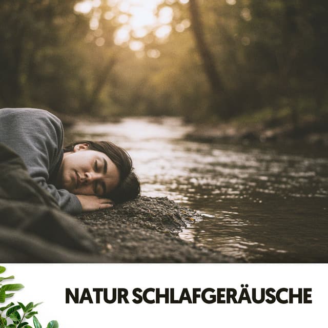 Natur Schlafgeräusche: Traumlandschaften am Fluss - Música Relajante Para Leer