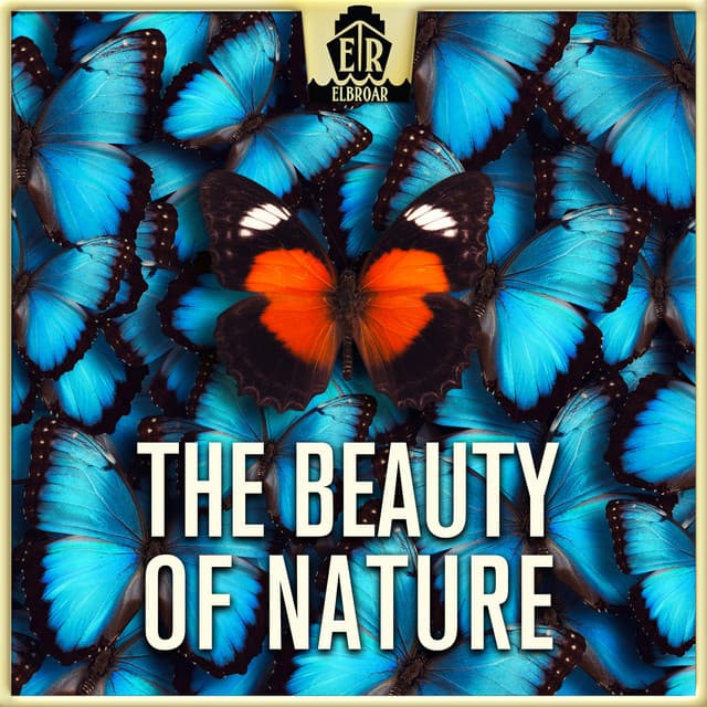 Beauty of Nature - Cheerful and Easygoing Acoustic Guitar Folk - Anselm Kreuzer
