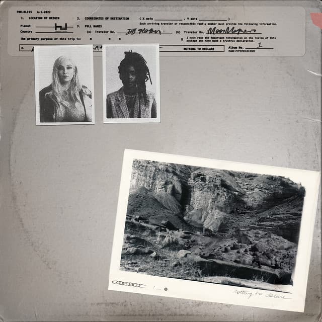 Nothing To Declare - 700 Bliss