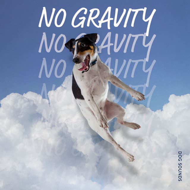 No Gravity - Dog Sounds