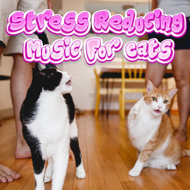 Music Proven To Reduce Stress In Cats & Kittens - Stress Reducing Music For Cats