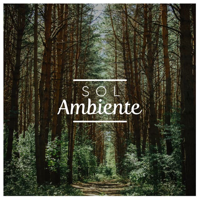 Sol Ambiente - Relajacion Del Mar