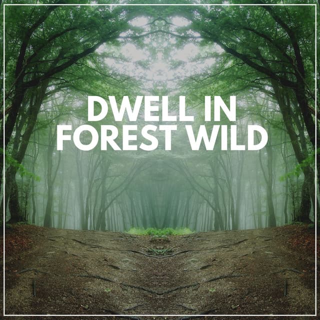 Dwell in Forest Wild - Forest Soundscapes