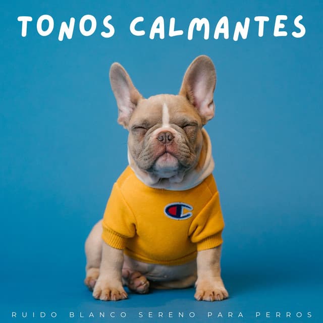 Tonos Calmantes: Ruido Blanco Sereno Para Perros - Ruido blanco granular