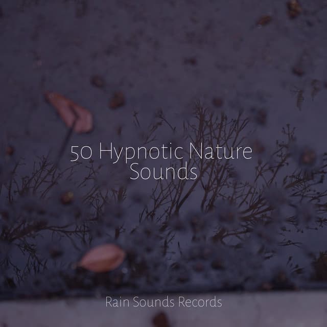 50 Hypnotic Nature Sounds - Musica Para Dormir y Sonidos de la Naturaleza