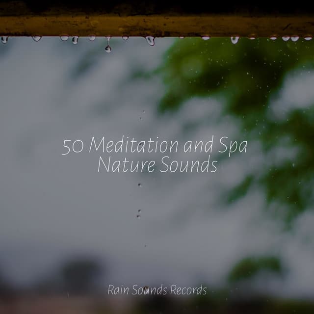50 Meditation and Spa Nature Sounds - Meditation