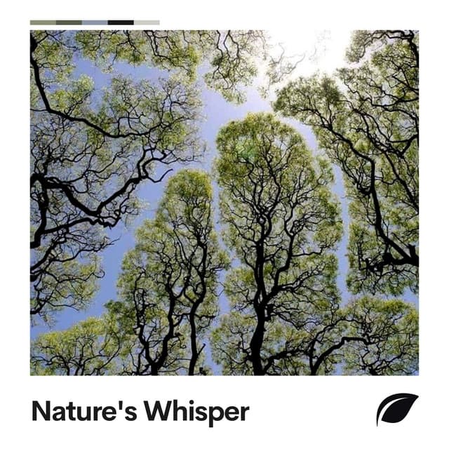 Nature's Whisper - Bird Sounds