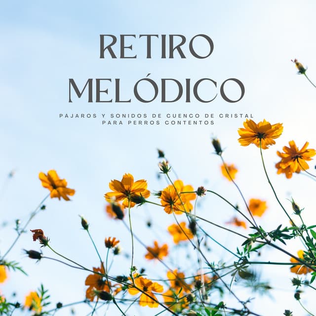 Retiro Melódico: Pájaros Y Sonidos De Cuenco De Cristal Para Perros Contentos - Pájaros del oeste