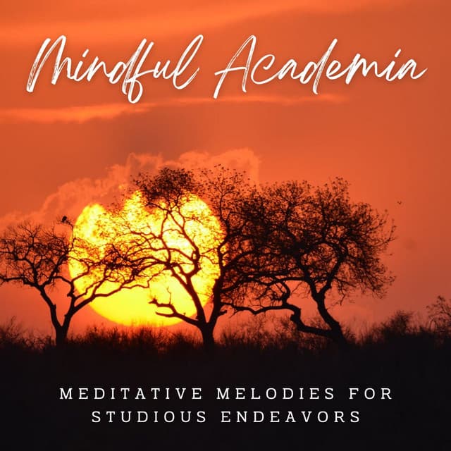 Mindful Academia: Meditative Melodies for Studious Endeavors - Meditative Silence Studio