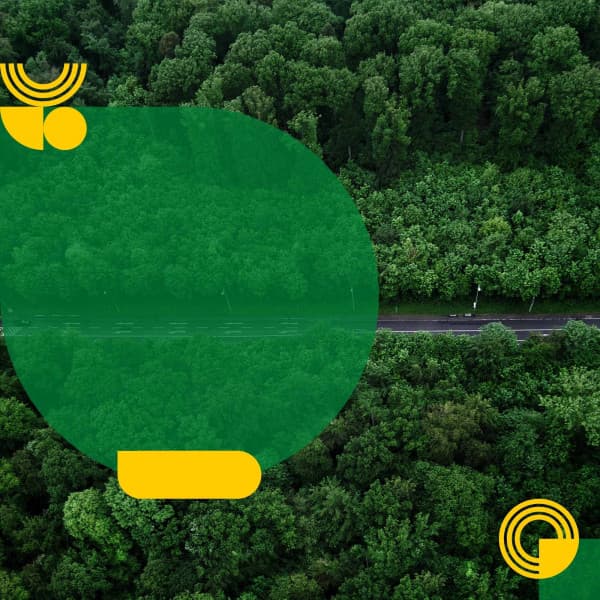 Backdrop for Enjoying Nature - Sultry Jazz Ballad - Calme Ambiance Jazz