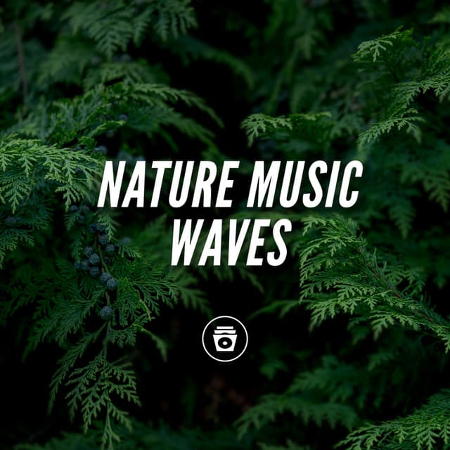 Nature Music Waves - Rain Sounds Nature Collection