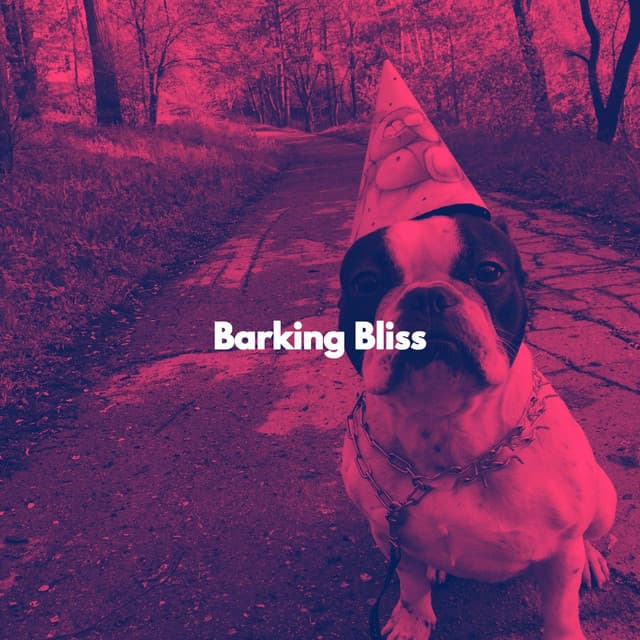 Barking Bliss - Cafeteria Musica de lujo