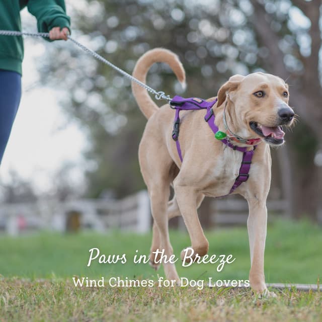 Paws in the Breeze: Wind Chimes for Dog Lovers - ASMR LIFE