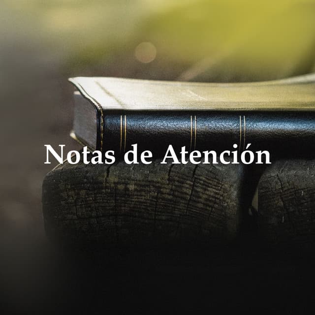 Notas de Atención - Música para estudiar duro