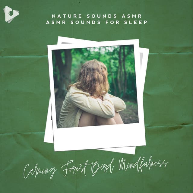 Calming Forest Bird Mindfulness - Nature Sounds ASMR