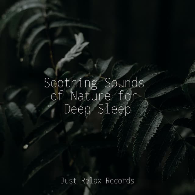 Soothing Sounds of Nature for Deep Sleep - Zen