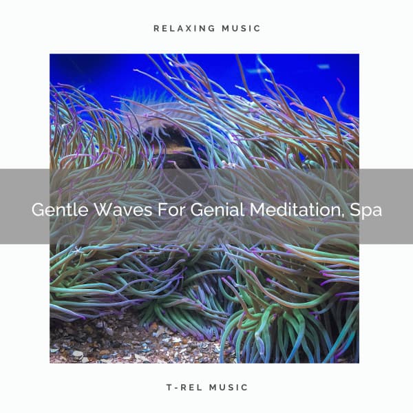 Gentle Waves For Genial Meditation, Spa - Sanctuary Of Relax