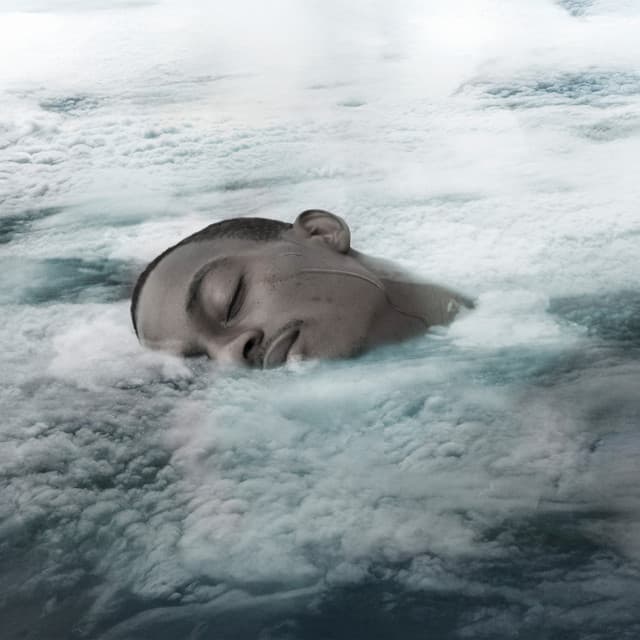 Lush Pathways of the Psyche, The Mind - Human Mind Universe