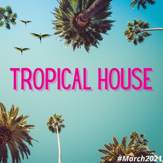 Tropical House - Francesco Digilio