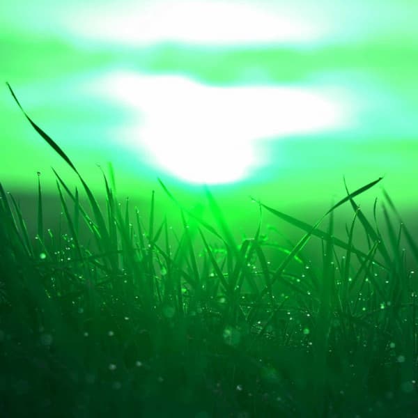 Stellar Acoustic and Electric Piano Jazz Duo - Bgm for Pure Moments - Musica de Piano Clásicos