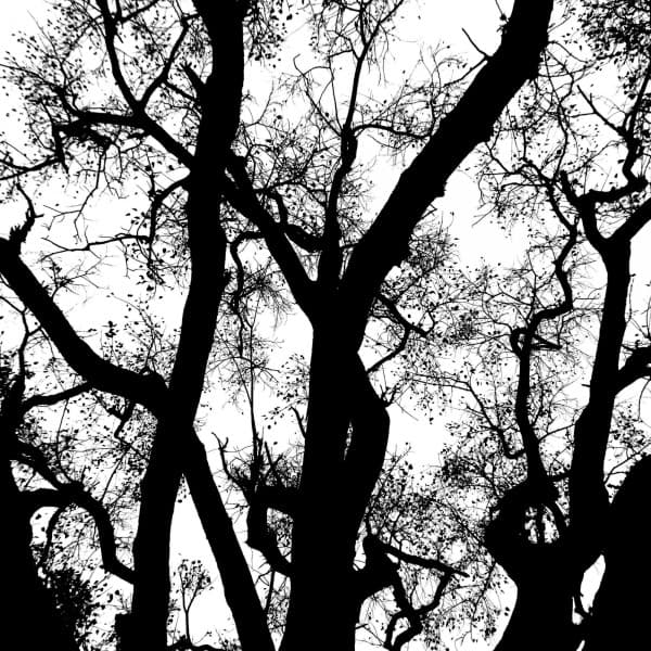 Backdrop for June and Chill - Chill Out - Música Alegre para Cafeterías