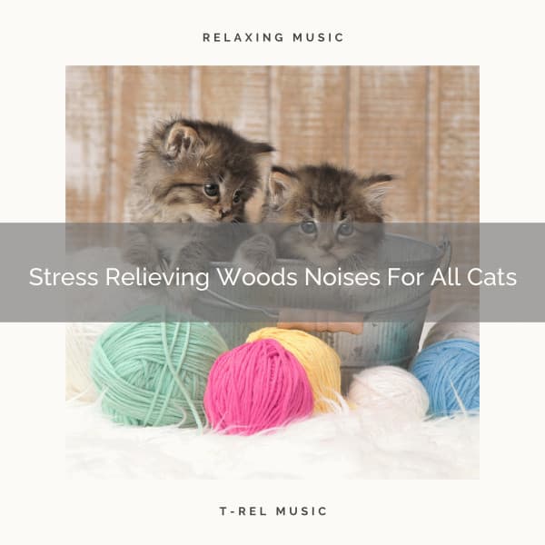 Stress Relieving Woods Noises For All Cats - Cat Total Relax