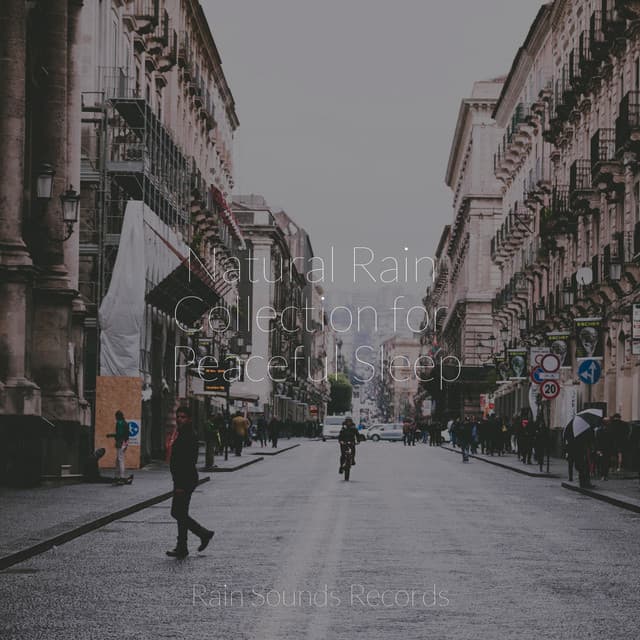 Natural Rain Collection for Peaceful Sleep - Yoga