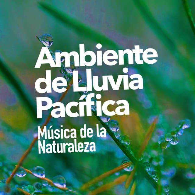 Ambiente de Lluvia Pacífica - Música de la Naturaleza
