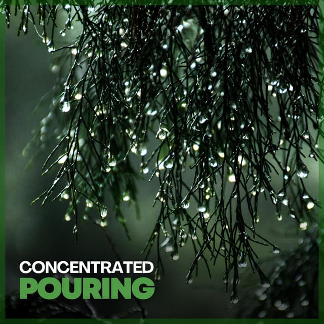 Concentrated Pouring - Rain Storm Sample Library