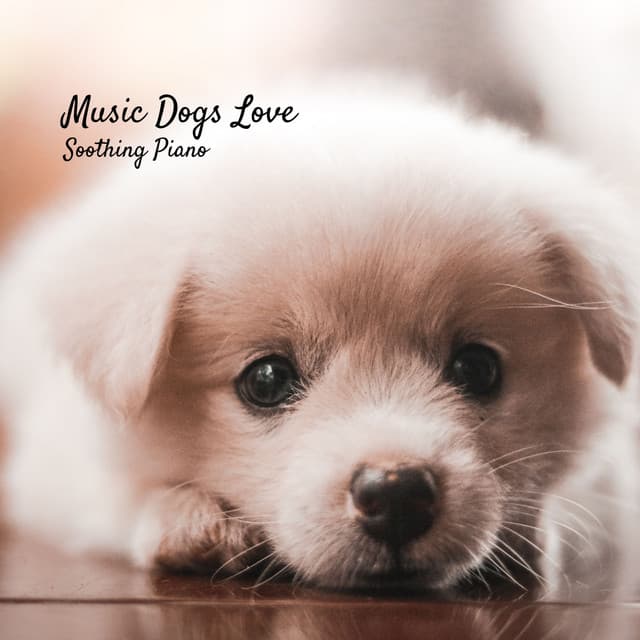 Music Dogs Love: Soothing Piano - Dog Music Library