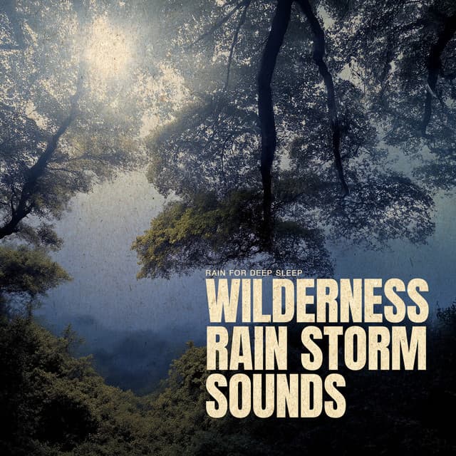 Wilderness Rain Storm Sounds - Rain for Deep Sleep