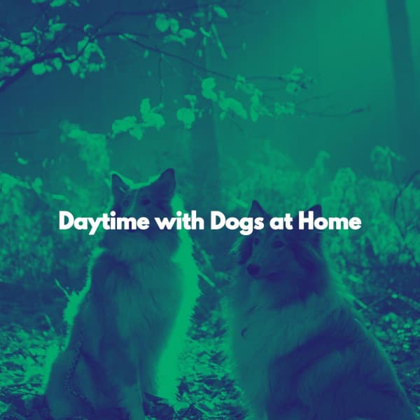 Daytime with Dogs at Home - Smooth Jazz Bar Lounge Session