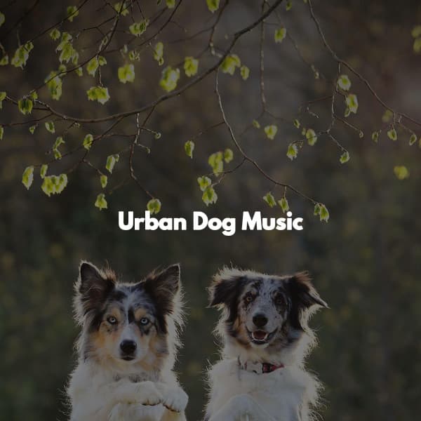 Urban Dog Music - Música de Trabajo De Lujo