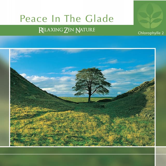 Chlorophylle II Peace in the Glade - Relaxing Zen Nature