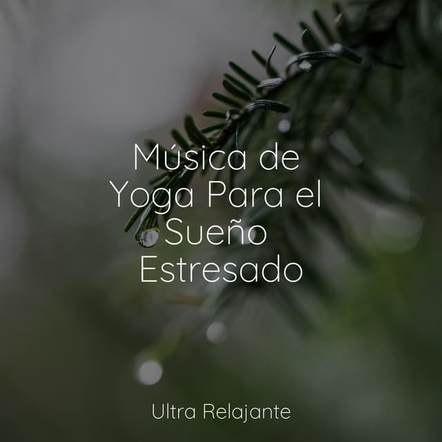 Música de Yoga Para el Sueño Estresado - Canciones de Cuna Relax
