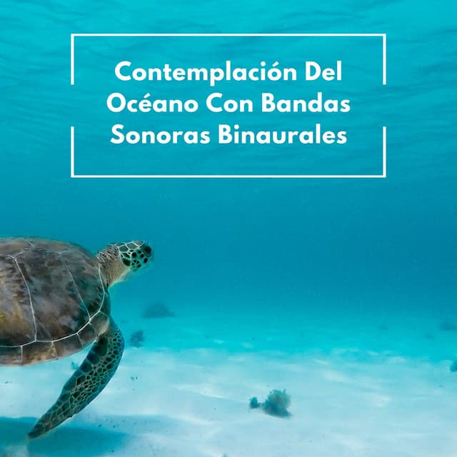 Contemplación Del Océano Con Bandas Sonoras Binaurales - Lazers binaurales