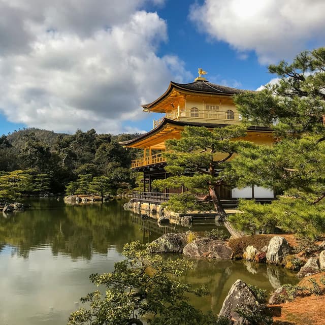 25 Songs With Nature: Sounds for Focus - Baltic Nature Sounds