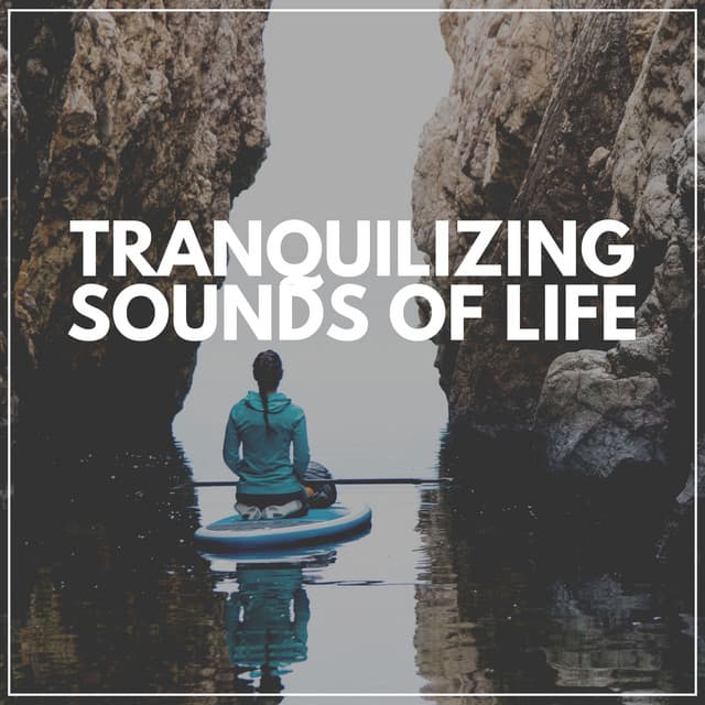 Tranquilizing Sounds of Life - Weather Sounds