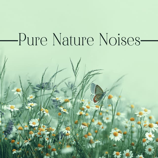 Pure Nature Noises - Exotic Nature Kingdom