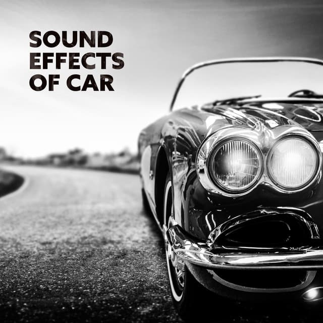 Sound Effects of Car: Different Models of Cars, Passion and Love for Cars - Sound Effects Zone