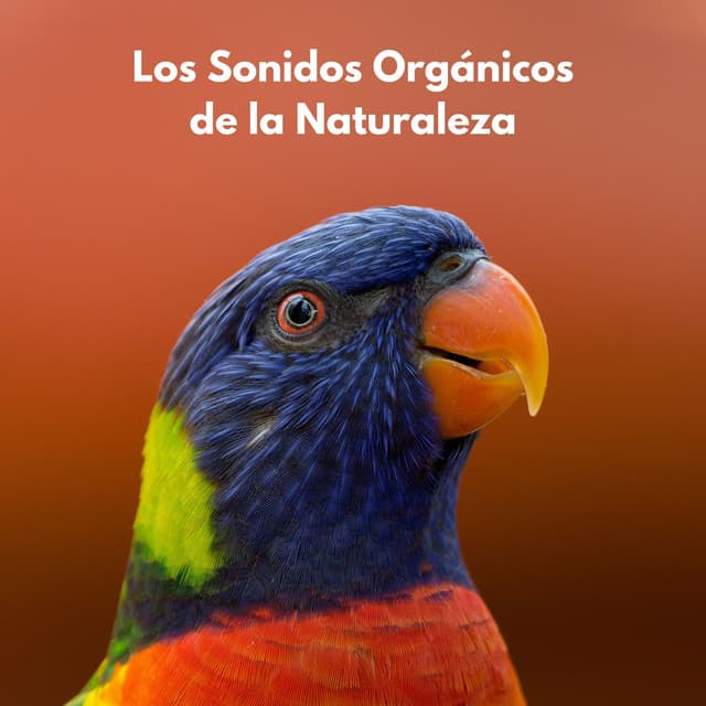 Los Sonidos Orgánicos De La Naturaleza - Biblioteca XLE de sonidos de la naturaleza