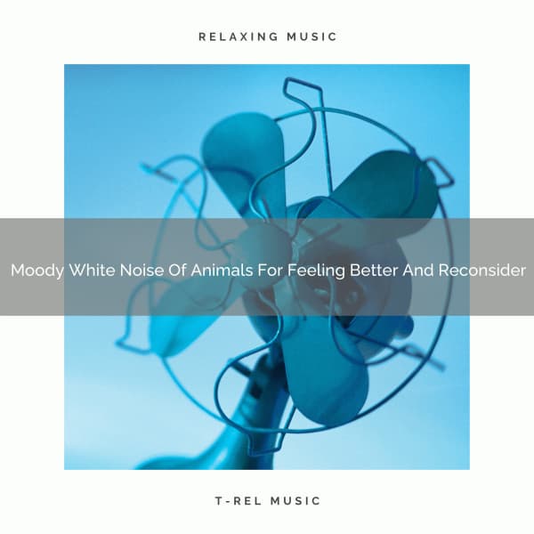 2021 New: Moody White Noise Of Animals For Feeling Better And Reconsider - Soothing White Noise for Best Relax