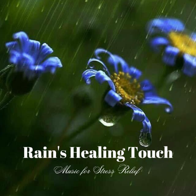 Rain's Healing Touch: Music for Stress Relief - Aurise