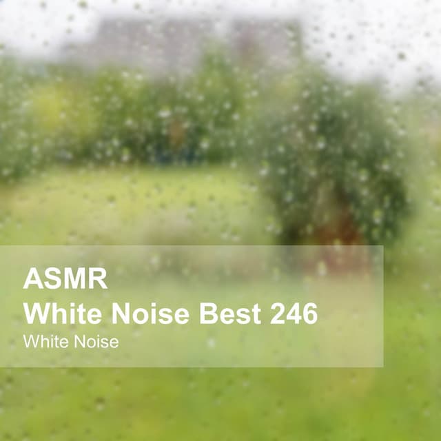 White Noise ASMR Best 246 - White Noise