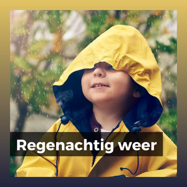 Regenachtig weer - Geluiden van de Regen