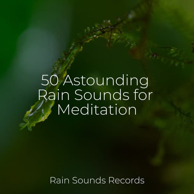 50 Astounding Rain Sounds for Meditation - Spa