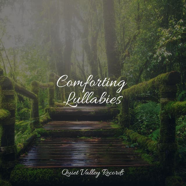 Comforting Lullabies - Natural Sample Makers