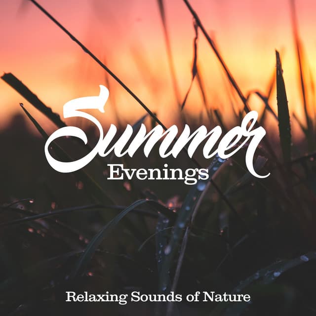 Summer Evenings - Relaxing Sounds Of Nature